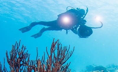 PADI Digital Underwater Photography course online Pattaya, Thailand.