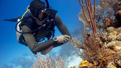 How to Get the PADI Peak Performance Buoyancy Specialty Certification in Thailand.