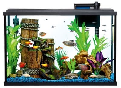 How to Set and Adjust the Temperature on a Top Fin Aquarium Heater?