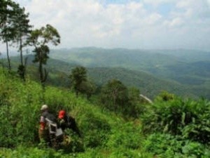 Mountain Range in Chiang Mai