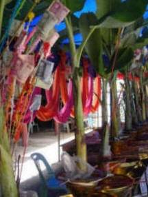 Banana trees used for donating money to monks and temple in Thailand