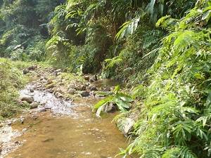 Countryside in Chiang Rai Province Thailand