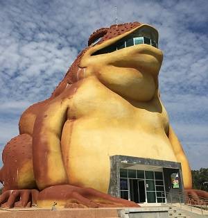 Giant Toad Museum Yasothon Province Thailand