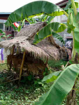 Bananas and Shanty Shacks at Ko Kret Bangkok