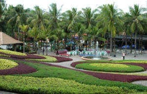 Nong Nooch Gardens in Pattaya