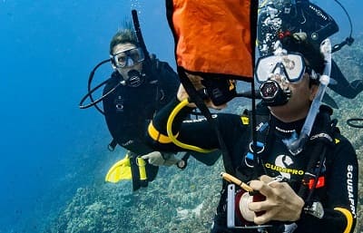 How to Get the PADI Delayed Surface Marker Buoy (DSMB) Diver Specialty Certification in Thailand.
