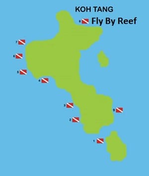 Fly By Reef Dive Site at Koh Tang Island Sihanoukville