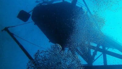 HTMS Chang Wreck Dive Site Near Koh Chang Island Thailand