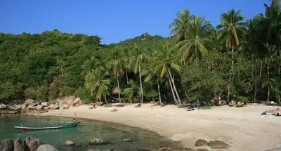 Koh Tao Dive Sites: Best Place for Scuba Diving and Snorkeling