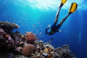 Nemo Reef Dive Site at Havelock Island, Andaman, India
