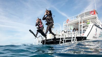 How to Get the PADI Boat Diver Specialty Certification in Thailand.
