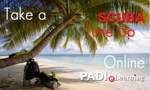 PADI Scuba Tune Up Course Online with Private Scuba in Thailand