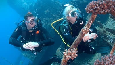 How to Get the PADI Wreck Diver Specialty Certification in Thailand.
