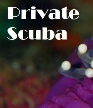 Private Scuba Banner [300px x 350px]