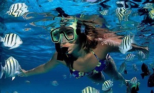 Snorkeling FAQ: Popular Questions with Expert Answers.